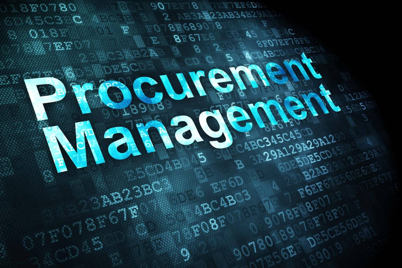 procurement management new